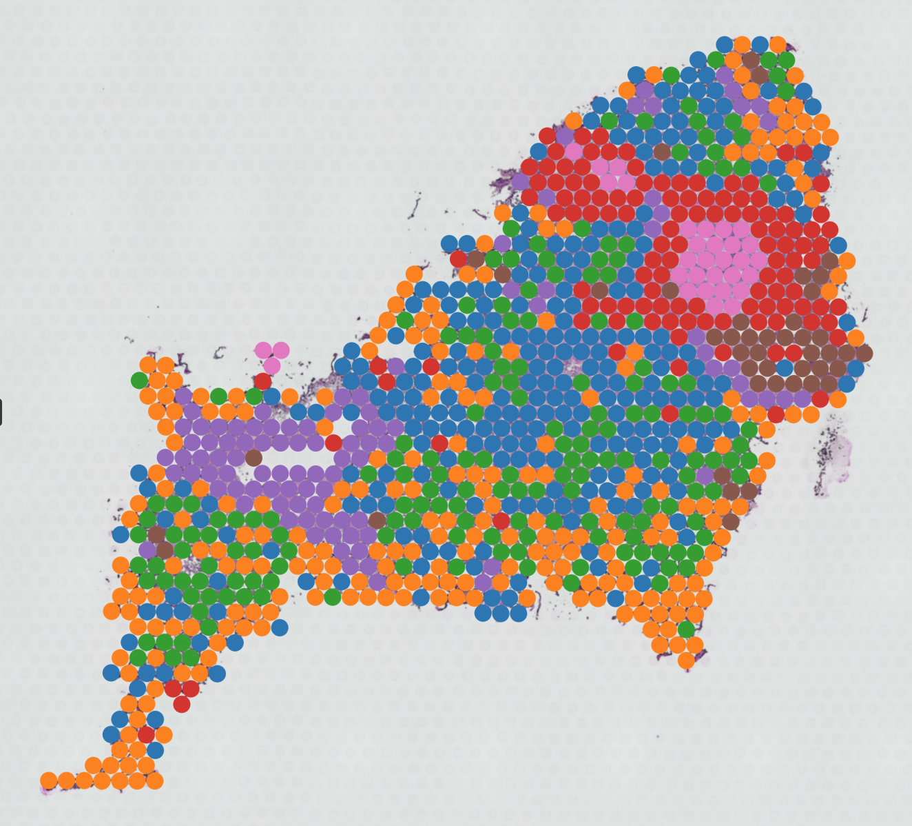 Spatial transcriptomics mood image