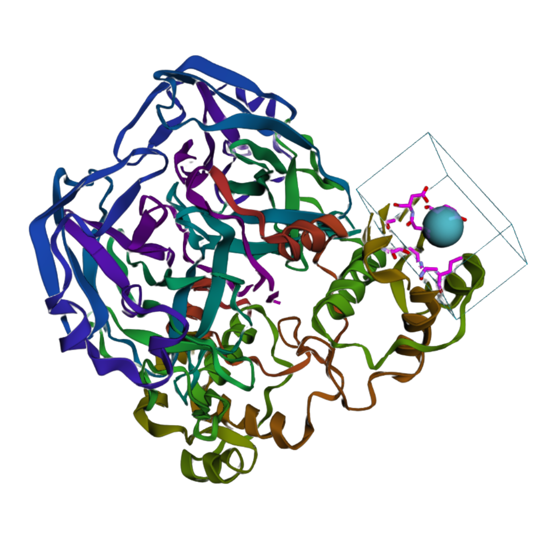 Binding pocket mapping step